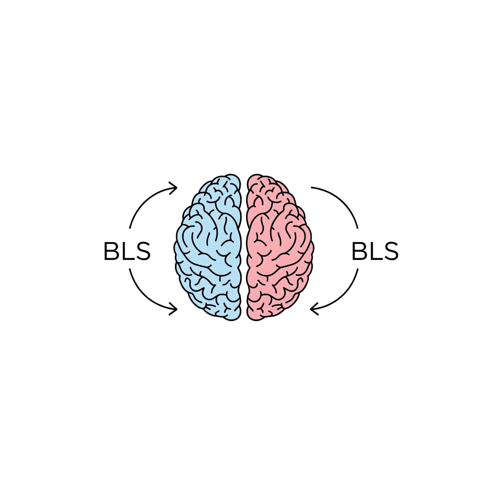 A simplified diagram of the human brain, with arrows showing communication between the left and right hemispheres during BLS